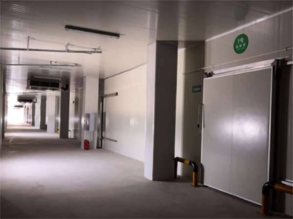 建造200噸的肉類冷鏈冷凍庫如何做好規劃設計？