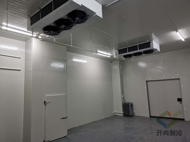 建設(shè)醫(yī)藥包裝自動化冷庫安裝，自動化冷藏庫有哪些優(yōu)點？