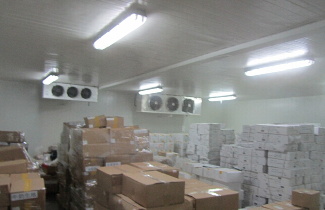 -18~-25℃冷凍榴蓮肉冷庫設備,冷庫造價及耗電量多少/天