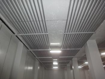 -35℃速凍榴蓮冷庫(kù)造價(jià)，榴蓮冷庫(kù)冷凍設(shè)備